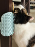乐优派猫咪蹭痒器抓痒橡胶蹭毛器按摩刷猫玩具仙人掌 实拍图