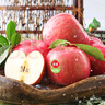 佳农 烟台红富士苹果 净重10斤大果 果径85mm+ 生鲜水果礼盒 实拍图