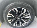 双星汽车轮胎 225/55R18 102W PRTECH 适配奥迪/深蓝SL03/宝骏/长安 实拍图