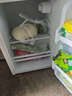 志高（CHIGO）【送货上门】 小冰箱双门小型电冰箱 家用小冰箱双开门冰箱宿舍租房办公室冷藏冷冻迷你节能冰箱 98L双门【一级能效】上冷冻下冷藏 实拍图