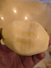 皇金蜜青皮皇冠梨【现货速发】赵县特产新鲜水果产地直发后期果子偏黄 5斤助农装（净重4.5斤6-9个） 实拍图