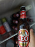 LEO啤酒网红泰国啤酒原装进口玻璃瓶装精酿小麦芽整箱 330mL 12瓶 晒单实拍图