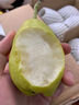 魏儿郎 鸭梨魏县大鸭梨 梨子 当季精品生鲜水果冰糖雪梨送礼 3斤水晶鸭梨【精选大果】 实拍图