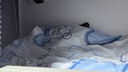 南极人被子 春秋四季被单人学生宿舍被芯棉被空调被5斤 150*200cm灰色  实拍图