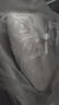 朵芙 【超值5斤】越南巴沙鱼柳 5斤无骨无刺 冷冻海鲜水产生鲜 超大5片装2500g 实拍图