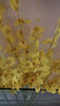 花艺赫家饰黄色跳舞兰仿真花束塑料花假花套装室内装饰花干花客厅摆件插花艺 黄色跳舞兰6支【不含瓶】 实拍图