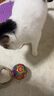 【京东快递】猫咪玩具球猫薄荷狗狗闪光发光球铃铛球玩具解闷神器 红色球1个【铃铛款】 实拍图