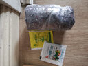 种花迷绯花玉仙人球盆栽四季开花好活净化空气吸甲醛桌摆办公室花卉绿植 玫红原盆原土 小球3-4厘米 实拍图