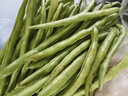 高山四季豆新鲜应季蔬菜豆角豆青现摘现发炒熟食用京东物流 带箱2斤 实拍图