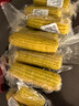 新鲜黄糯玉米真空包装速食玉米低脂粗粮代餐杂粮早餐包邮 精选 8棒 180g-220g/棒 实拍图