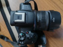 佳能（Canon）佳能r50 微单相机 轻量小型 R50 APS-C画幅 高速连拍 EOS R50 18-45 STM黑色套机 套餐三【128G佳能专用卡~摄影拍摄脚架备用电池】 实拍图