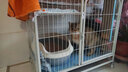 猫乐适肠道处方粮 TS5 科学营养系列呵护猫咪肠胃 猫肠道敏感猫粮肠胃 TS5肠道全价处方粮 3kg 实拍图