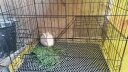 JHHUIYA(配脚垫)兔子笼子家用加密室内养兔专用大号自动清粪宠物兔窝兔笼 黑色70*50*60cm双层款 晒单实拍图