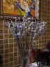 爱满尤加利叶 尤加利果 永生尤加利叶ins风干花花束花环搭配花材真花 尤加利果一扎5支（果很多·） 实拍图