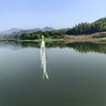 SHIMANO禧玛诺SIENNA塞纳纺车轮淡海水通用远投路亚鱼线轮海钓金属渔轮 500（5.6速比）马口轮 左右手互换型 实拍图