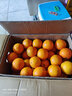 江西赣南早脐橙整箱当季新鲜早橙子榨汁水果礼盒皮薄多汁节日团购 【实惠】净重18斤单个150g+ 实拍图