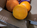 秭橙贡【京东快递】现摘现发正宗秭归九月红果冻橙子新鲜手剥当季水果 大果(70mm以上) 净重5斤 实拍图