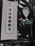御宝阁 毛笔字帖水写布11件套装兰亭序水写毛笔练字布初学者沾水练习书法清水练字速干布文临摹 套餐B【兰亭序4张+基础4张+水碟+毛笔+书法教】 实拍图