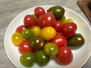 京地达五彩四色小番茄 圣女果组合 2.25kg装 新鲜蔬菜源头直发 实拍图