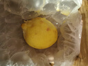 京鲜生 南非进口柠檬 8粒装 单果约80g+ 新鲜水果 源头直发 包邮 实拍图