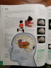 DK大脑百科：关于大脑解剖结构、功能和疾病的图解指南 实拍图