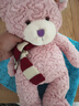 SMILE BELLA英国围巾熊玩偶圣诞节小熊毛绒玩具泰迪熊公仔陪睡娃娃生日礼物女 围巾熊【送抽绳袋】 站高38cm 实拍图