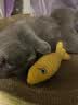 醇粹（Purich）FD猫粮全价冻干猫粮幼猫成猫纯粹猫粮英短美短布偶折耳鸡肉猫粮 鳕鱼冻干猫粮1.2kg 实拍图