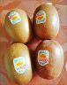 佳沛（zespri）新西兰阳光金奇异果16-18粒原箱单果重约175-233g水果猕猴桃 实拍图