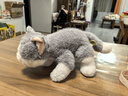 威尔通（WELTSTON）毛绒玩具玩偶抱枕靠垫布娃娃中秋节礼物生日礼物 仿真蓝猫咪公仔 实拍图