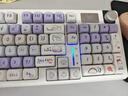 狼蛛（AULA）S98机械键盘有线/蓝牙/无线三模连接Gasket结构插拔2U0游戏办公键盘98配列 【无线版】S98云朵汪汪-混光 茶轴 实拍图