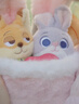 迪士尼（Disney）疯狂动物城朱迪尼克玩偶花束情侣告白毛绒玩具女孩生日礼物送女友 实拍图