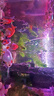 金利佳（Jeneca） 鱼缸专用背景纸水族箱高清背景画龟缸背景图饲养缸贴纸壁纸壁画 30高42长（浏览详情选款式） 实拍图