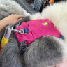 拉夫威尔ruffwear嗨轻狗狗胸背带狗背带中小型犬雪纳瑞背带式狗狗牵引绳 朝霞粉 M 实拍图