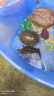 易萌 黄金巴西龟活物炫彩龟小乌龟活体宠物龟半水龟招财龟草龟活体龟 7-9厘米两只 实拍图