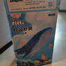 菲比Fitti秒吸舒爽乐玩裤拉拉裤XL114片(12-17kg)加大码裤型瞬吸干爽 实拍图