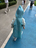 Kocotreekk树儿童雨衣宝宝男童女小学生小童雨披幼儿园雨具分体斗篷式 实拍图
