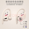 beats Beats Powerbeats Pro 完全无线高性能耳机 真无线蓝牙运动耳机 象牙白 实拍图