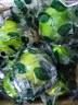 甘果有约塔西提无籽柠檬 青柠 香水柠檬 青柠檬皮薄多汁 新鲜水果 现摘 5斤 实拍图