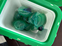 宝洁日本进口宝洁洗衣凝珠洗衣球4D碧浪花香柔顺剂持久留香 绿色消臭11颗*6盒 实拍图