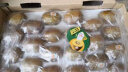 佳沛（zespri）新西兰阳光金奇异果22粒原箱 单果重约146-175g 水果 猕猴桃 实拍图