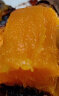 山东烟台烟薯25号 蜜心薯糖心流油红地瓜农家烤红薯 新鲜蔬菜 4.5斤中大果 晒单实拍图