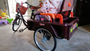 飞鸽飞鸽三轮车老年车成人自行车脚踏车人力老人轻便载货休闲买菜脚蹬 深红色 80型折叠后座双链条前叉带减震 实拍图