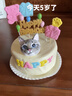 果思萌 宠物狗狗生日猫咪蛋糕手工自制泰迪金毛柯基宠物零食定制含头像 4寸牛肉（含头像） 实拍图