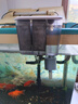 森森（SUNSUN）鱼缸过滤器壁挂式外置过滤泵水族箱过滤器HBL HBL-302 3W 实拍图