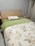 洁丽雅牛奶绒床上四件套冬季双面加厚被套200x230cm床单三件套床笠款 仙草-不易掉毛防静电 标准四件套 床单款 （被套200*230cm） 实拍图