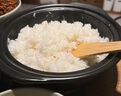 Ginpo万古烧砂锅家用土砂锅耐热陶瓷煲汤砂锅熬粥养生锅日本进口 8号 实拍图