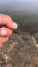 kastking卡斯丁路亚竿免组套装双竿稍纺车轮路亚全套碳素抛杆海竿钓鱼竿套 实拍图