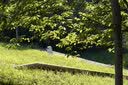 铭匠50mm f1.2定焦镜头大光圈夜景人像适用松下奥林巴斯M43富士X索尼E卡口尼康Z佳能RF微单相机镜头 黑色 索尼E卡口(半画幅) 实拍图