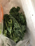 绿食者 羽衣甘蓝 绿叶甘兰嫩叶芥蓝菜kale西餐沙拉健康轻食新鲜蔬菜 250g 实拍图