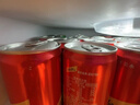 可口可乐（Coca-Cola） 怡泉 易拉罐装  苏打水/汤力水/干姜水 330ml*24罐 调酒 干姜水 实拍图